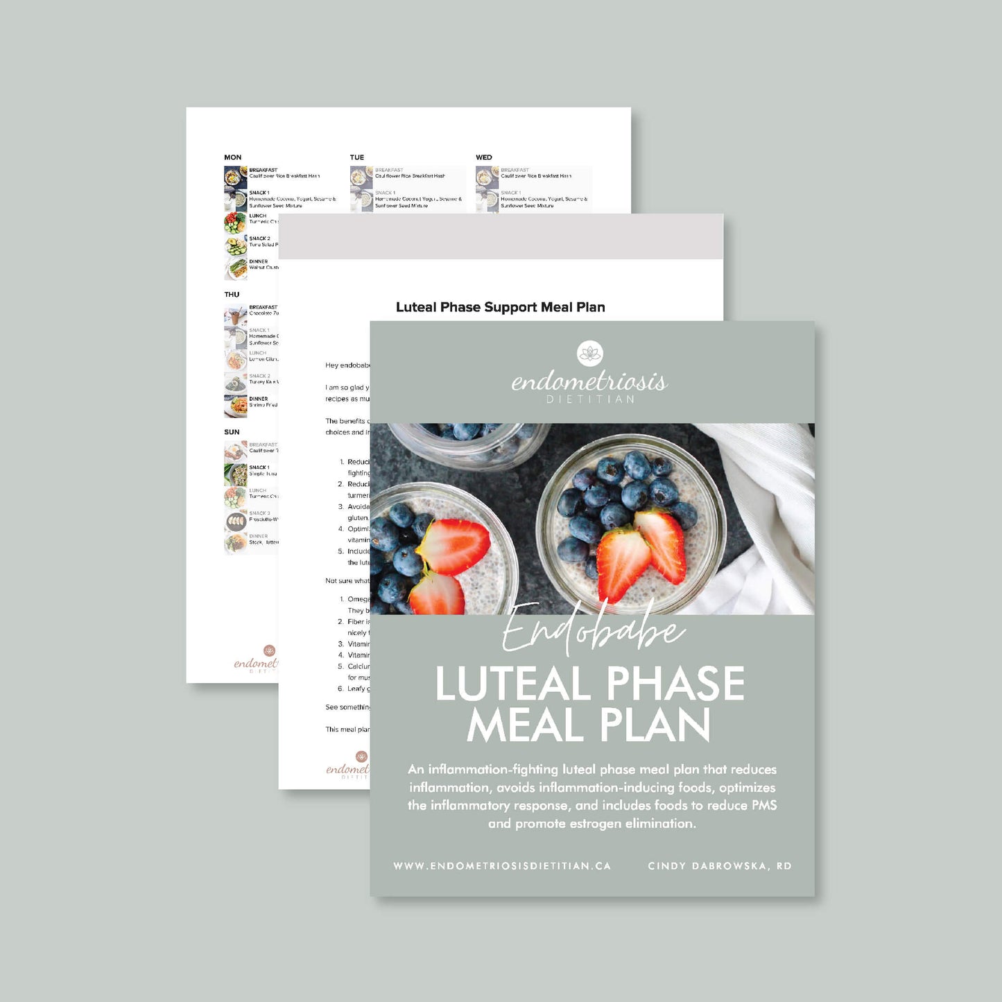 Endobabe Luteal Phase Meal Plan