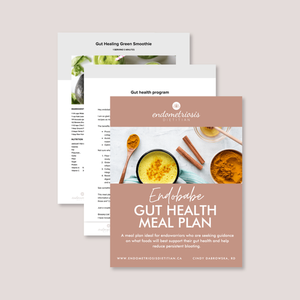 Endobabe Gut Health Meal Plan